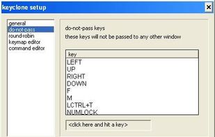 Keyclone screenshot 2
