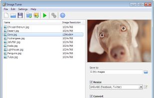 Image Tuner screenshot 2