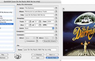 Multiple QuickEdit - Lets you quickly edit data in multiple audio files in quick succession. Pin static fields to easily fill subsequent files.