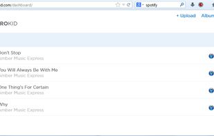 DistroKid screenshot 1