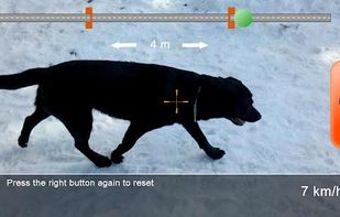 Real Speed Gun screenshot 1