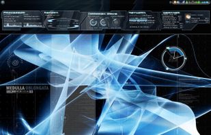 Samurize screenshot 1