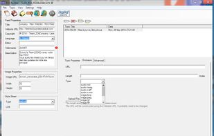 The 2nd tab of the Topic editor, "Enclosure" tab, you can choose several files types to upload.