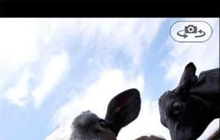 GIF Camera screenshot 1