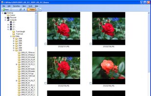 JMG Photo Printer screenshot 1
