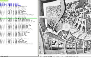 With PopViewer extension, browsing pictures