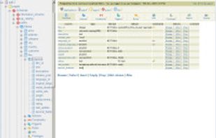 Phppgadmin screenshot 1