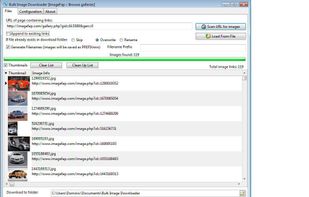 Bulk Image Downloader screenshot 1