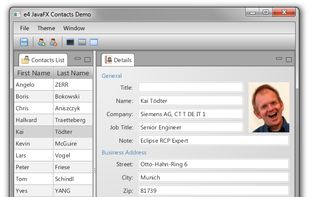 Contacts Example Silver