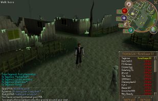 Runescape screenshot 1