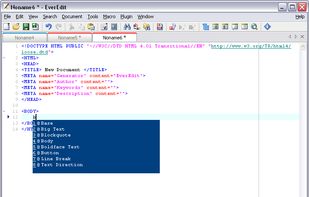 EverEdit screenshot 3