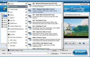 iWisoft Free Video Converter screenshot 1