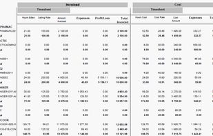 Project performance report