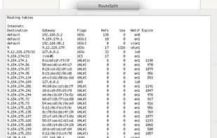 Routing Table Display
