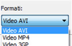 Output video formats