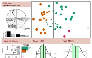 R (programming language) screenshot 1