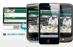 Culinary Institute of Arts powered by Bluetrain Mobile