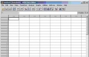 IBM SPSS Statistics screenshot 1