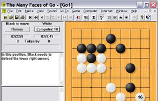 The Many Faces of Go screenshot 1