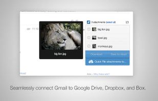from chrome web store
