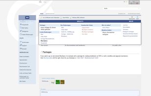 Layout of BlueSpice for MediaWiki