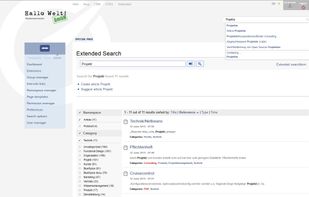 Extended Search with facets, auto-complete and search-as-you-type