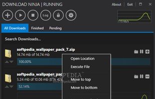 Ninja Download Manager screenshot 1