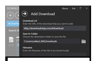 Ninja Download Manager screenshot 1