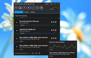 Ninja Download Manager screenshot 2