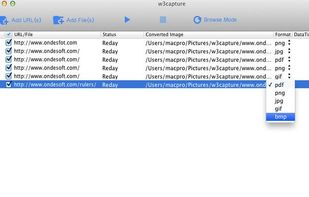 W3Capture screenshot 1