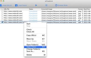 W3Capture screenshot 3