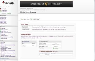 REDCap screenshot 1
