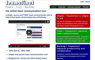 teamstinct.com screenshot 1