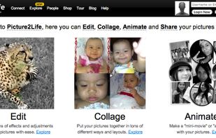 Picture2Life screenshot 1