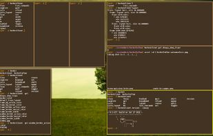 herbstluftwm screenshot 1