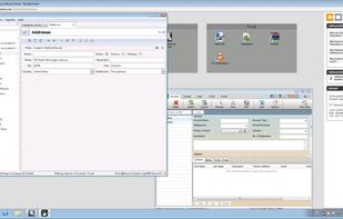 Virtual desktop view of SoftwareDEMO