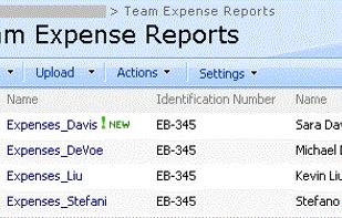 InfoPath screenshot 2