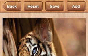 instahiet screenshot 1