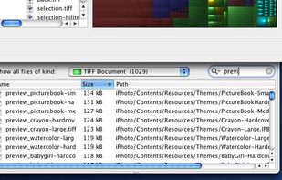 Disk Inventory X screenshot 3