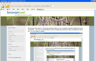 BrowserSeal screenshot 1