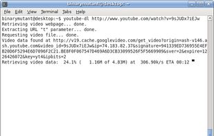 youtube-dl screenshot 1