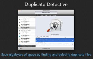 Duplicate Detective screenshot 1