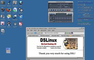 Damn Small Linux screenshot 1
