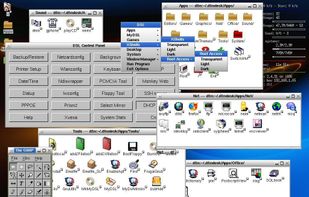 Damn Small Linux screenshot 1
