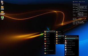 Damn Small Linux screenshot 2