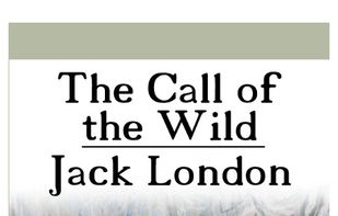 Raccoon Reader screenshot 1