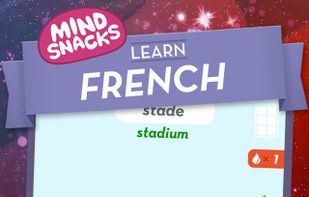 MindSnacks French screenshot 1
