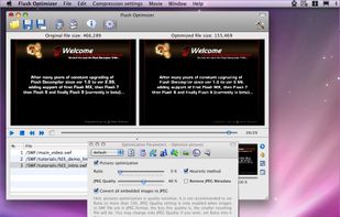 Flash Optimizer screenshot 1