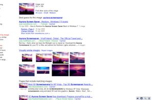 Google Images screenshot 2