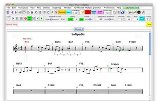 In this window you can create or edit a new chorus.